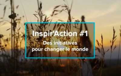 Interview for Collectif 224